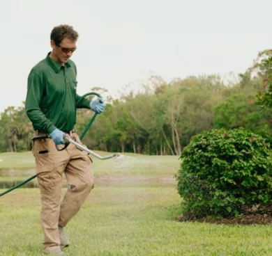 lawn weed control in fort myers fl