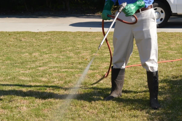 professional pest control for businesses in fort myers fl