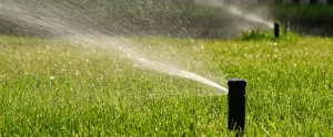 How to Design Irrigation and Landscape Lighting Together (Why Fort Myers Homeowners Do Both at Once) irrigation and landscape lighting installation in fort myers