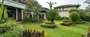 What to Expect from a Professional Landscape Design Consultation in Fort Myers (And What a Real Render Looks Like) landscape design consultation fort myers fl