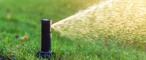 How Much Can You Save With Smart Irrigation in Fort Myers, FL? A Real Cost-Benefit Breakdown smart irrigation in fort myers fl