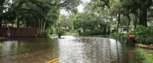 How to Maintain a Commercial Landscape Through South Florida's Rainy Season (Month-by-Month Checklist) south florida's rainy season commercial landscape maintenance