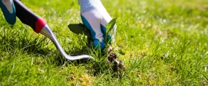 Transitioning Your Landscape from Wet Season to Dry Season in Southwest Florida florida landscape season transition