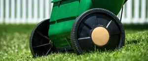 Is Lawn Fungus Taking Over Your Florida Lawn? lawn fungus rainy season sw florida