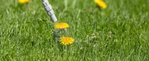Snowbird Season Prep: Getting Your Fort Myers Property Ready Before Seasonal Residents Return Seasonal snowbird property prep fort myers