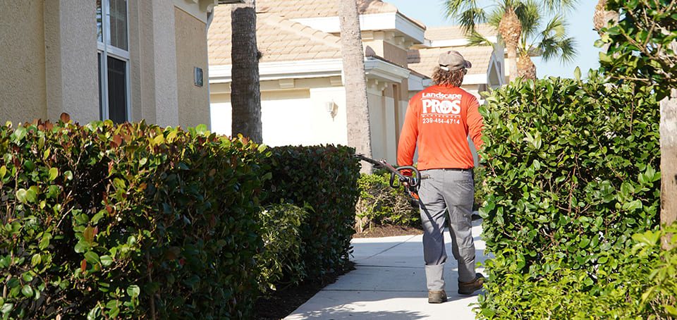 Professional Commercial Lawn Maintenance in Fort Myers FL