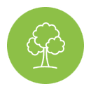 Tree icon on green circle background