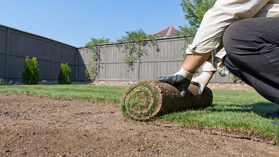 Sod Installation Services In Fort Myers, FL