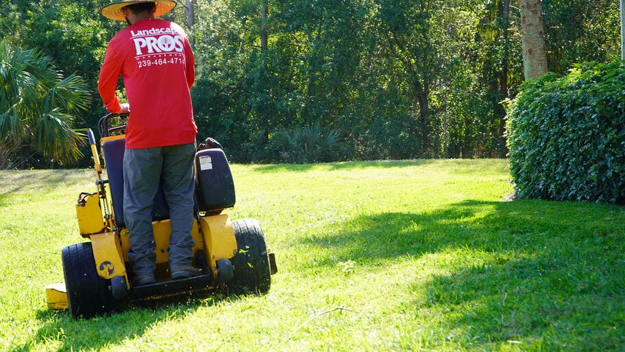 The Benefits of Choosing Professionals for Fertilization and Weed Control